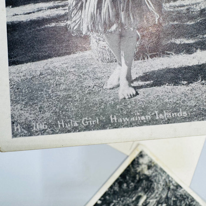 Vintage Hawaii Postcard Bundle | Honolulu Hula Girl, Sausage Tree, Night Blooming Cereus