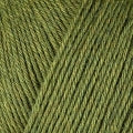 12069-Fennel