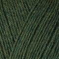 12071-Douglas Fir