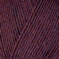 12072-Dried Plum